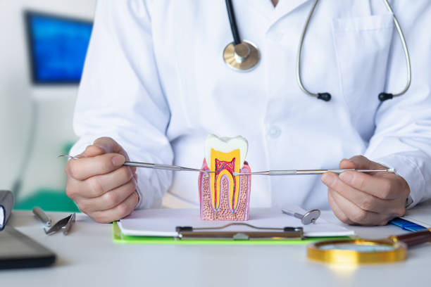 Best Broken or Cracked Tooth Emergency Dentist in Attleboro, MA